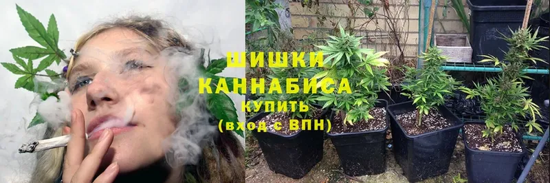 Канабис Bruce Banner  купить наркотик  Курчалой 